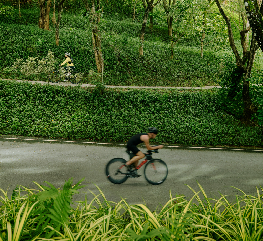 SwanLake Lifestyle 05